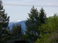 My new view while dong my bookkeeping ... The Rocy Mountains from Radium Hot Springs, B.C.